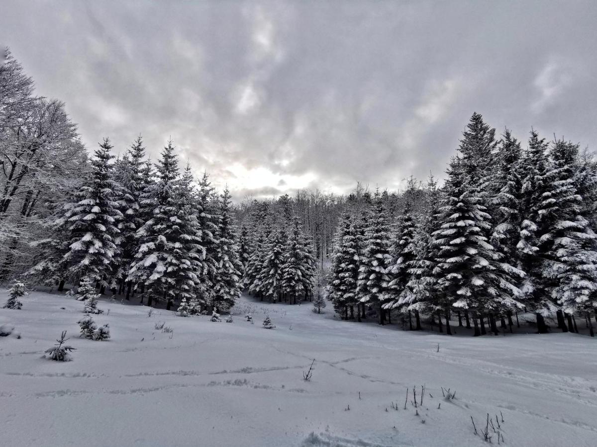 Great Mountain B&B Platak Luaran gambar
